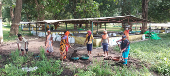 गौ धन से संवर रहा आदिवासी महिलाओं का जीवन, किसानों के जीवन में आया सकारात्मक बदलाव
