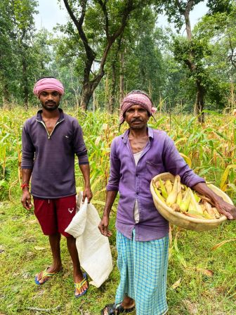 सफलता की कहानी : मक्के की खेती से आर्थिक रूप से सशक्त हुआ सालिक राम ध्रुव का परिवार