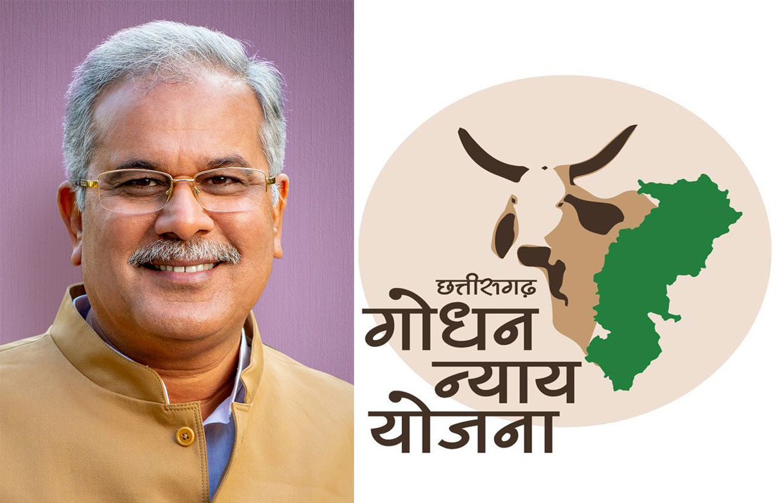 मुख्यमंत्री 6 अक्टूबर को करेंगे गोधन न्याय योजना के हितग्राहियों को 8 करोड़ का करेंगे भुगतान