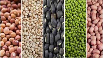 जिले में की जाएगी अरहर, उड़द व मूंग की खरीदी