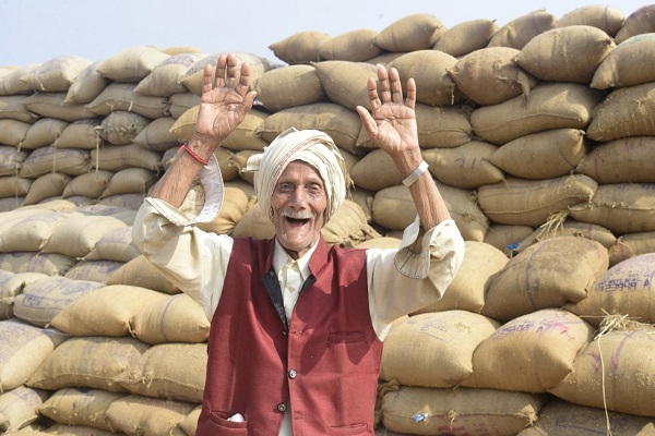 प्रदेश में धान खरीदी का आगाज : पहले दिन 3 हजार किसानों ने 10 हजार मीट्रिक टन उपज बेची