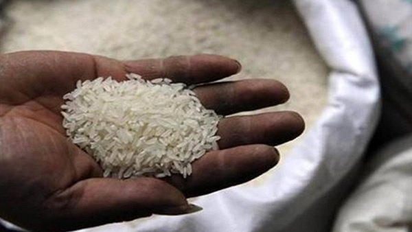  छत्तीसगढ़ में समर्थन मूल्य पर धान का उठाव शुरू, कस्टम मिलिंग के लिए 720 मिलरों से अनुबंध