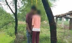 जंगल में प्रेमी जोड़े ने की खुदकुशी