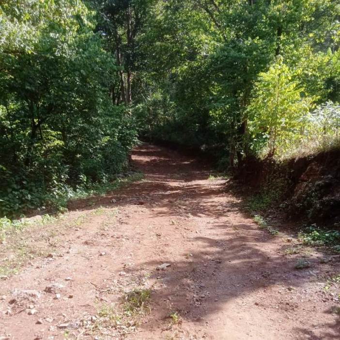 बैगा आदिवासियों ने घाट कटिंग कर बनाया सुविधा युक्त रास्ता...