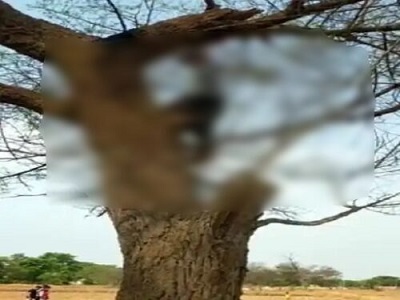 पेड़ पर फांसी लगाकर बुजुर्ग ने दी जान