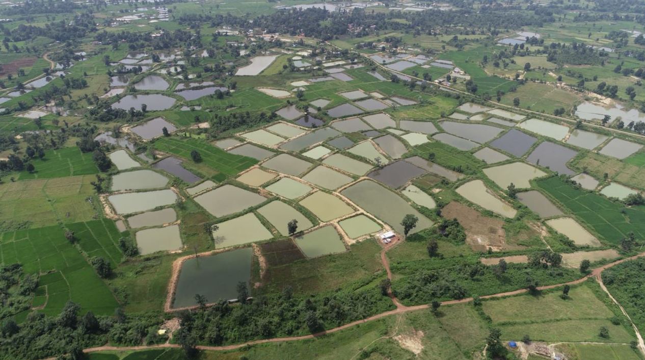 नक्सल क्षेत्र की बदली तस्वीर : हरे बस्तर में हो रही नीली क्रांति