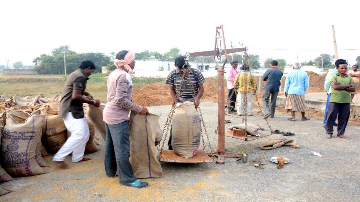 समर्थन मूल्य पर धान और मक्का खरीदी 1 नवंबर से