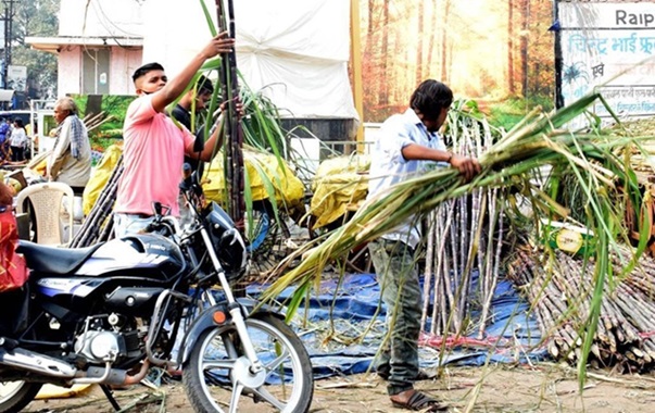 देवउठनी आज रायपुर में सुबह से खूब बिक रहे गन्ने