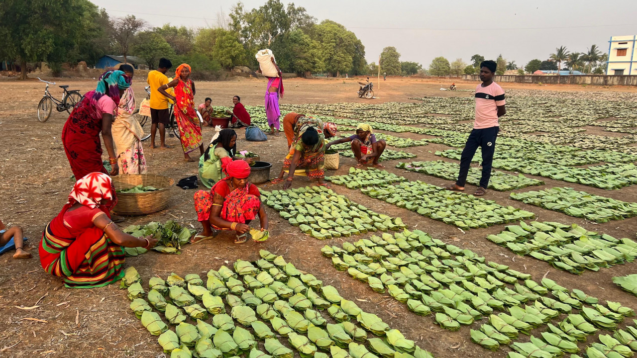 बस्तर के हरा सोना संग्राहकों को बैंक मित्र एवं बैंक सखियों से सीधे मिल रही पारिश्रमिक राशि