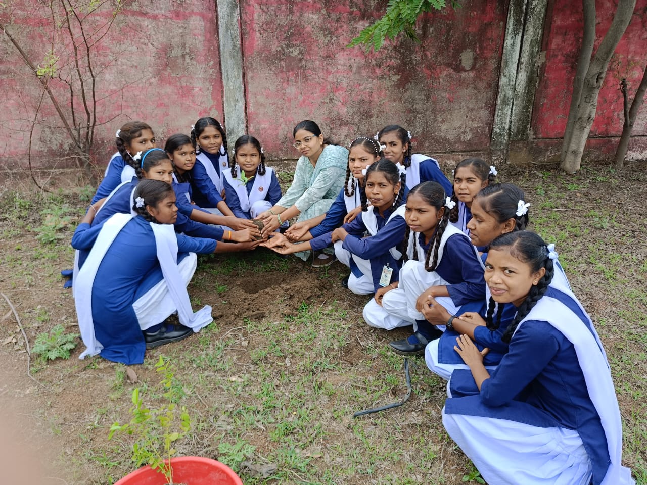 जनसहयोग से वृक्षारोपण महाभियान को मिल रही सफलता