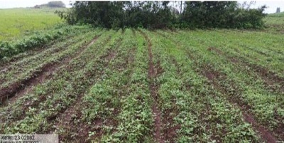 ग्रामीणों को रोजगार के साथ मिली सिंचाई की सुविधा