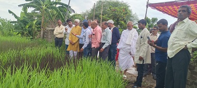 जैविक खेती को बढ़ावा देने के साथ ही आवारा गौवंश का सहारा बने गाड़ाडीह के किसान रमनलाल साहू