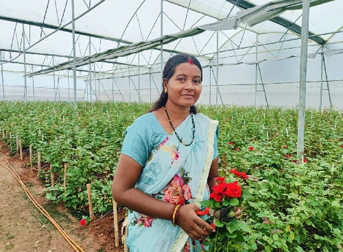 पारंपरिक खेती छोड़ डच रोज़ की खेती से हो रही मालामाल