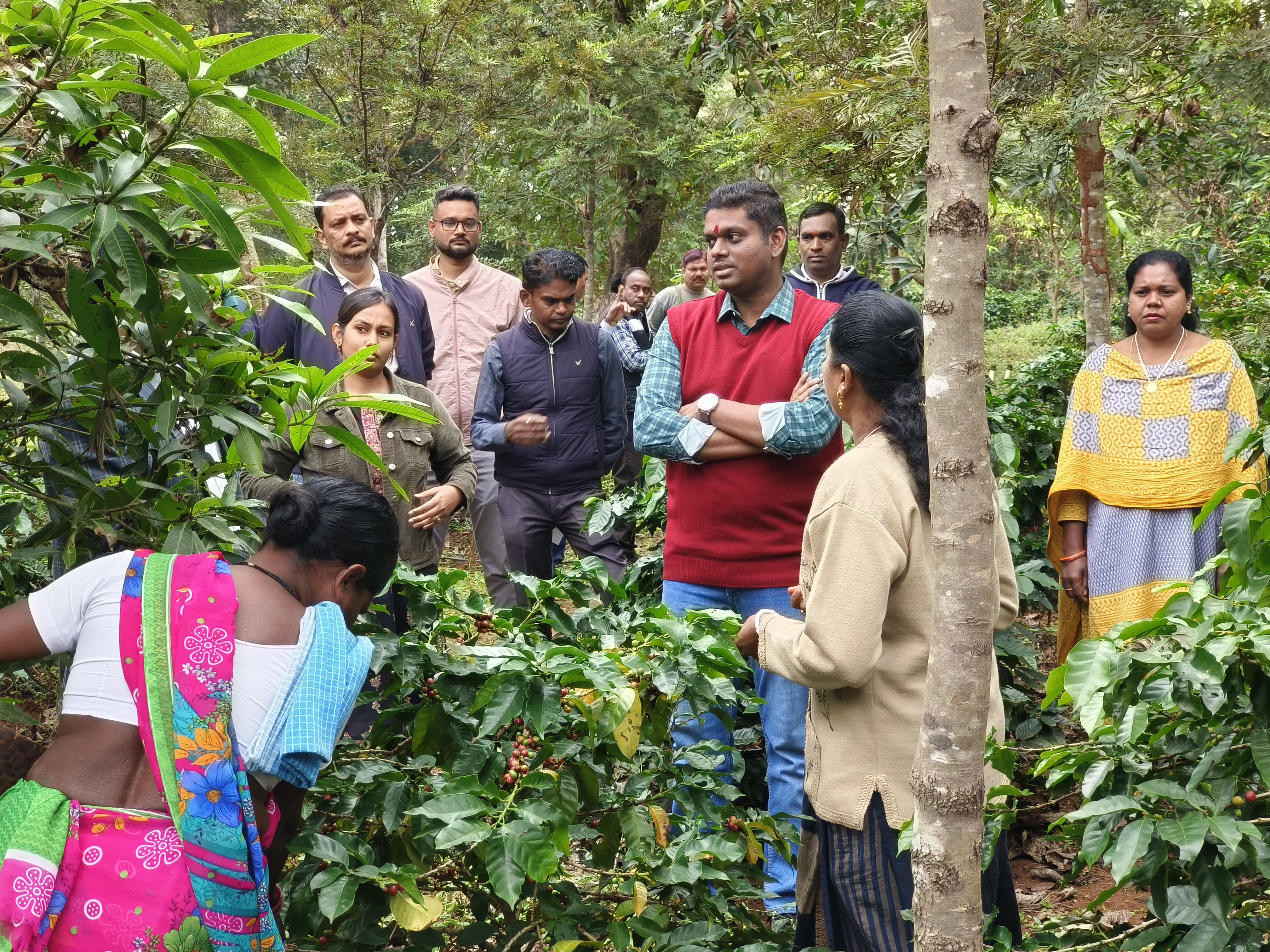  कलेक्टर ने कॉफी प्लांटेशन क्षेत्रों का किया निरीक्षण दौरा