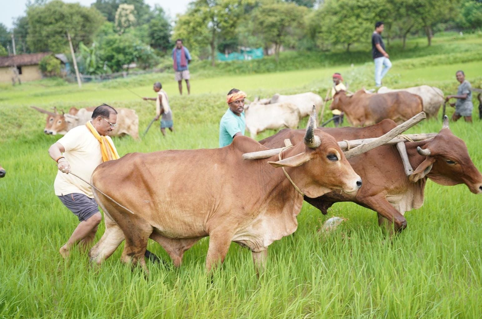 छत्तीसगढ़ की माटी, कृषि परंपरा और मेहनतकश अन्नदाता किसान सदैव हृदय के सबसे करीब : मुख्यमंत्री श्री साय
