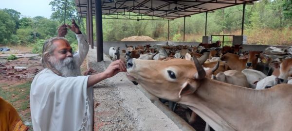 नरवा गरवा घुरवा बारी का सर्वाधिक काम महासमुंद जिले में हुआ : महन्त रामसुन्दर दास