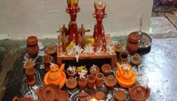 कुरुद में हर्षोल्लास के साथ मना पोला पर्व