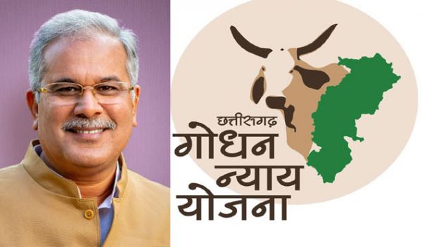 मुख्यमंत्री 5 को करेंगे गोधन न्याय योजना के हितग्राहियों को 5 करोड़ का भुगतान