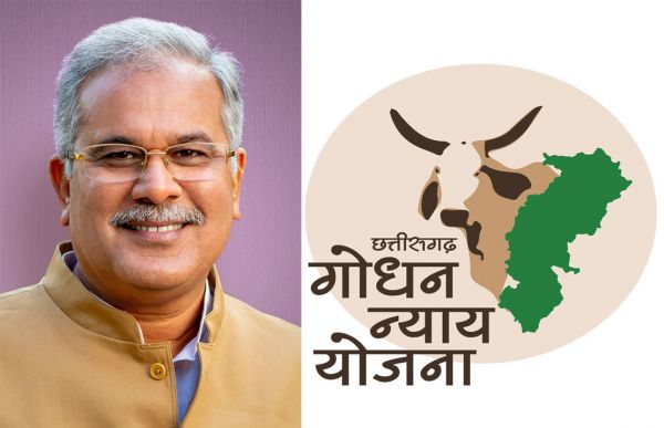 मुख्यमंत्री 6 अक्टूबर को करेंगे गोधन न्याय योजना के हितग्राहियों को 8 करोड़ का करेंगे भुगतान