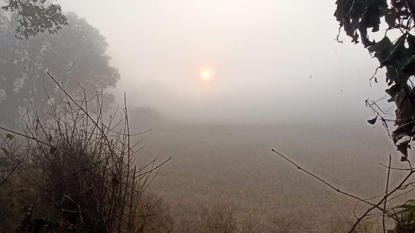 सर्द हवाओं ने बढ़ाई ठिठुरन... खिली धूप में भी गर्म कपड़ों का सहारा....