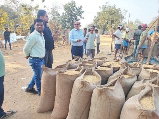 जिले में कुल 17142 किसानों से 1 लाख टन से अधिक धान खरीदा गया
