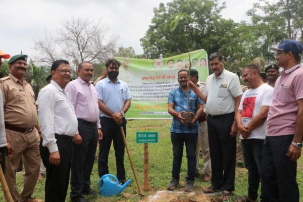 वृक्षारोपण और पर्यावरण की रक्षा हमारा मौलिक कर्तव्य : कलेक्टर व्यास