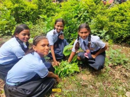 सेजेस सारंगढ़ में हर्षोल्लास के साथ मनाया गया वन महोत्सव