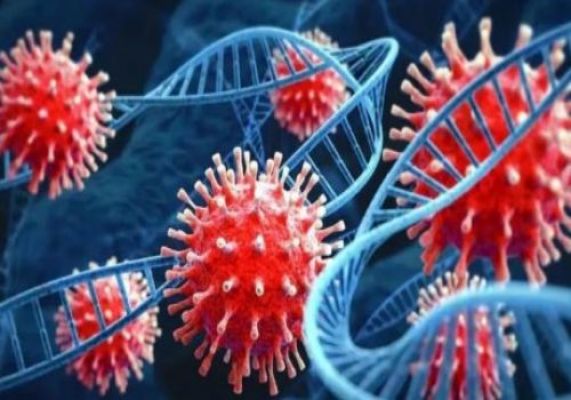 बिलासपुर में मिला कोरोना पॉजिटिव मरीज