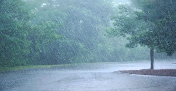 छत्तीसगढ़ में अब तक 479.7 मि.मी. औसत वर्षा दर्ज