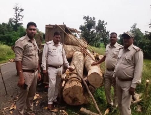 लकड़ी ले कर जा रहे थे तस्कर, पलट गया ट्रैक्टर...