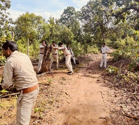 वन भूमि को बेजा कब्जा से मुक्त कराने कार्रवाई जारी