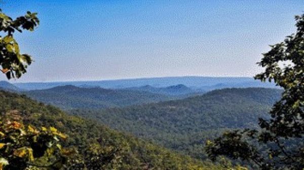  गुरू घासीदास-तमोर पिंगला बना देश का 56वां टाइगर रिजर्व