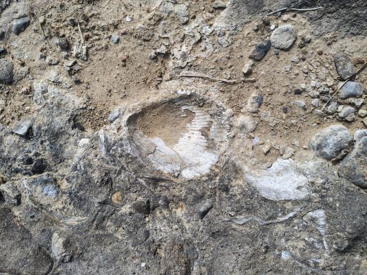  मनेंद्रगढ़ में बनेगा  इतिहास और  पुरातत्व में  रुचि रखने  वालों के  लिए  आकर्षण  का केन्द्र 