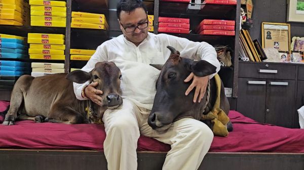 देश-दुनिया में नाम करने वाली &lsquo;चंद्रमणि&rsquo; पहुंची मनोहर गौशाला