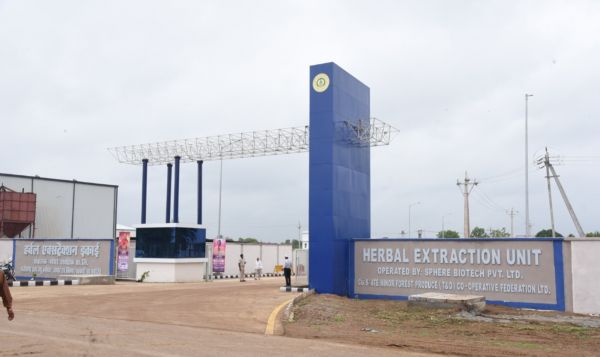 हर्बल और आयुर्वेदिक उत्पादों का प्रमुख केंद्र बनेगा छत्तीसगढ़