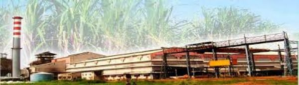 भोरमदेव शक्कर कारखाना अब गैर-अंशधारी किसानों को भी देगा सदस्यता