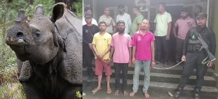 गैंडा सींग तस्करी में लिप्त 3 तस्कर गिरफ्तार...