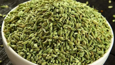 सौंफ का सेवन करने से मिलते हैं ये फायदे