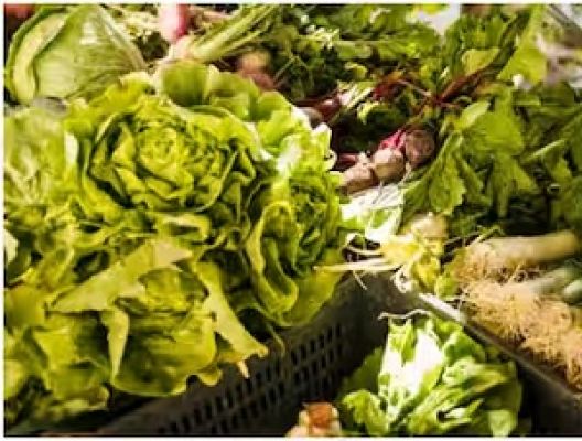 बारिश में कौन सी चीजें नहीं खानी चाहिए?