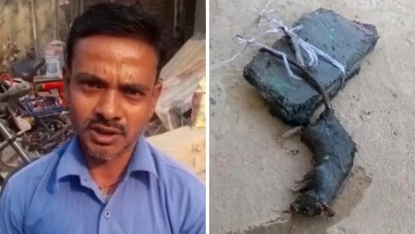 OMG : चूहे को पानी में डुबोकर मारा... दर्ज हुई FIR...