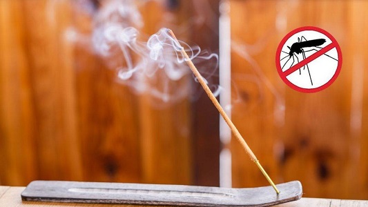  मच्छर अगरबत्ती से मासूम बच्चे समेत आधा दर्जन लोगों की मौत