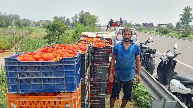 राजधानी में टमाटर की कीमतों में जल्द कमी आने के आसार