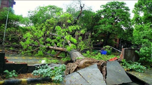 राजधानी में आंधी-बारिश से अस्त-व्यस्त हुआ जनजीवन, 100 से ज्यादा पेड़ गिरे, 2 की मौत&hellip;