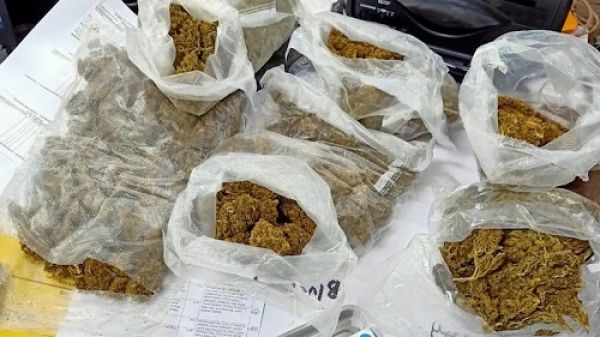 एसटीएफ की बड़ी कार्रवाई : ड्रग तस्करों की 3 करोड़ से अधिक की संपत्ति जब्त...