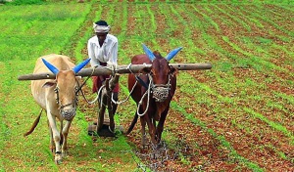  मुख्यमंत्री किसान कल्याण योजना की तीसरी किस्त आज