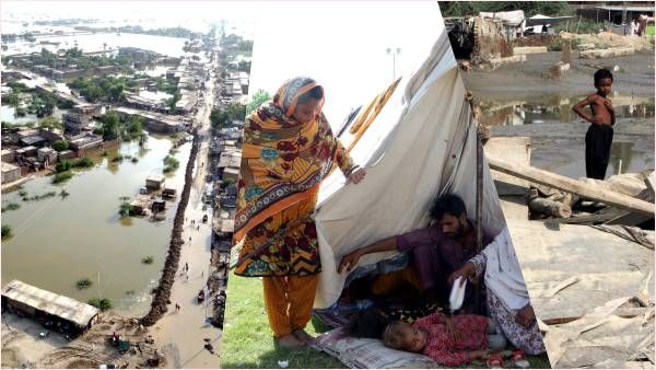  संमदर बन गया पाकिस्तान, जहां से देखो पानी ही पानी दिखता है, बाढ़ देख PM शहबाज शरीफ की हालत खराब