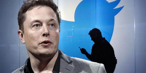  ट्विटर पर फिर लौटी नीली चिड़िया, एलन मस्क ने बदला लोगो