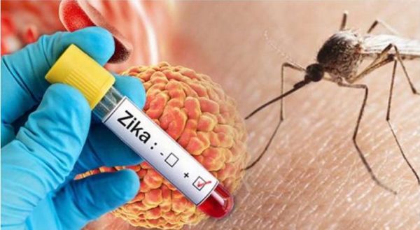 सेहत : डेंगू व मलेरिया की तरह ही मच्छरों से फैलती है ये बीमारी